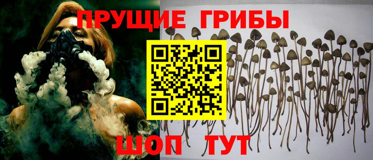 Заволжье  Псилоцибиновые грибы мухоморы  Вход с VPN 