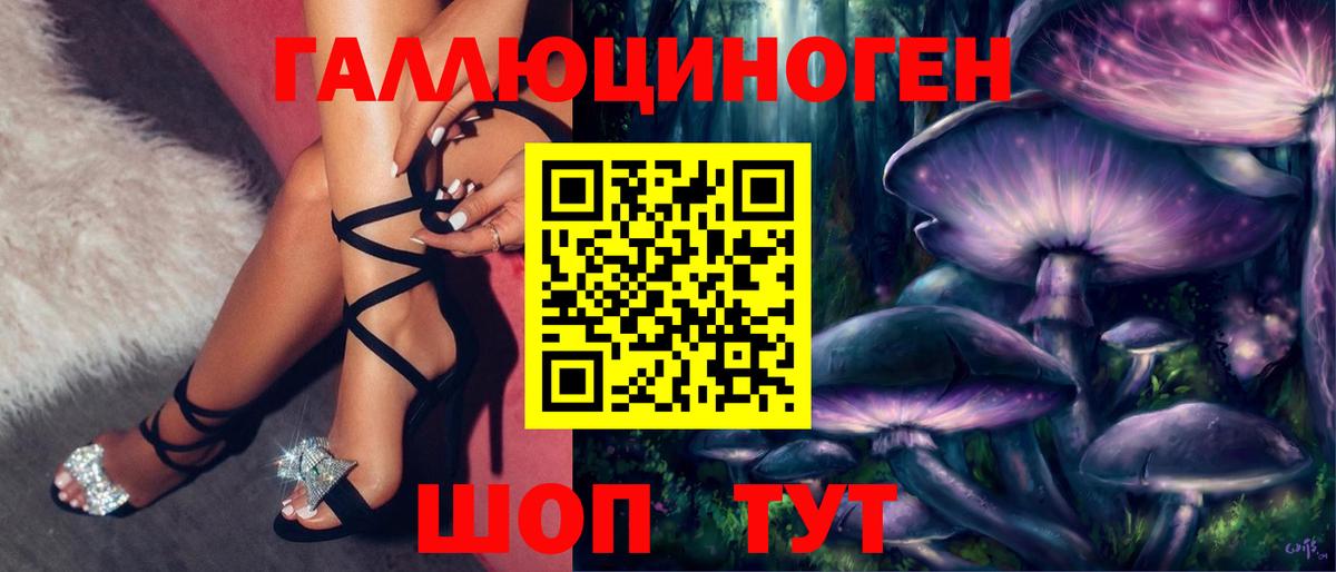 Галлюциногенные грибы Psilocybine cubensis Заволжье